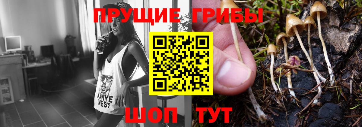 Псилоцибиновые грибы мухоморы Красноуфимск